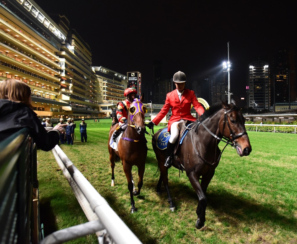 本馬場入場