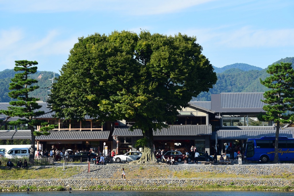 桂川対面