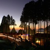 阿里山①