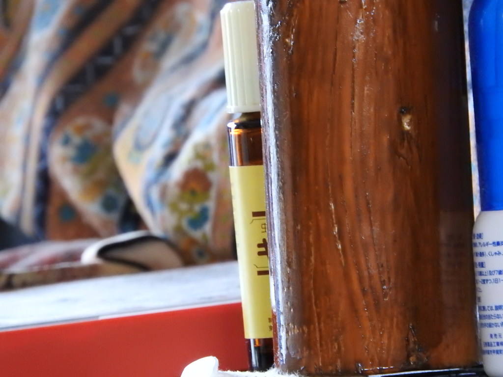 ”誰！”　そこにいるのは！