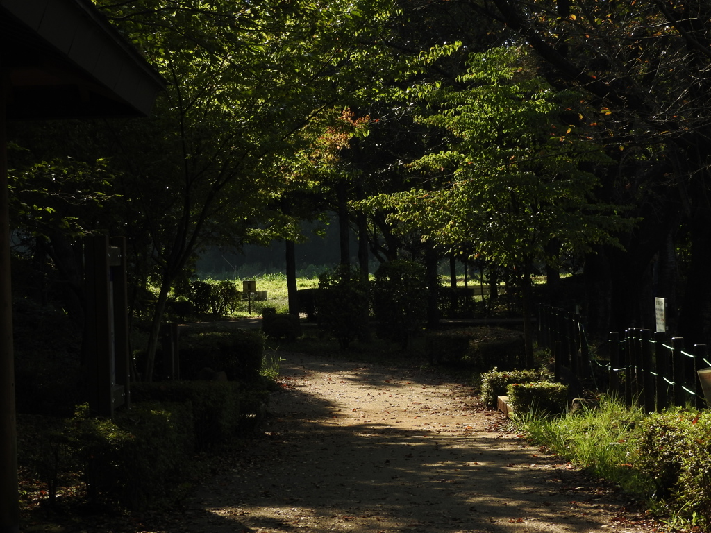 チョット一息。公園のあぜ道