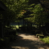 チョット一息。公園のあぜ道