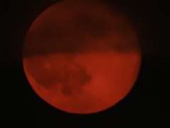 小細工してないんですけど・・・