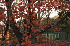 なんだか・・可愛い＾０＾