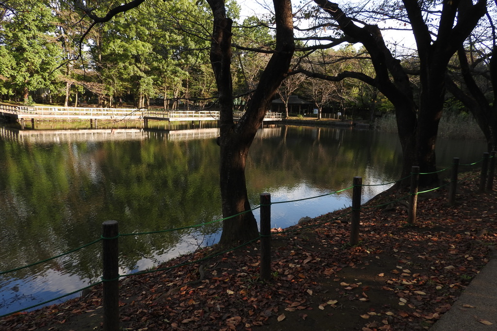 いい感じで抜けていました～