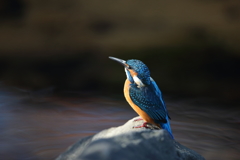 ノートリです。