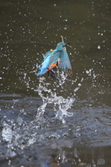 水がらみ