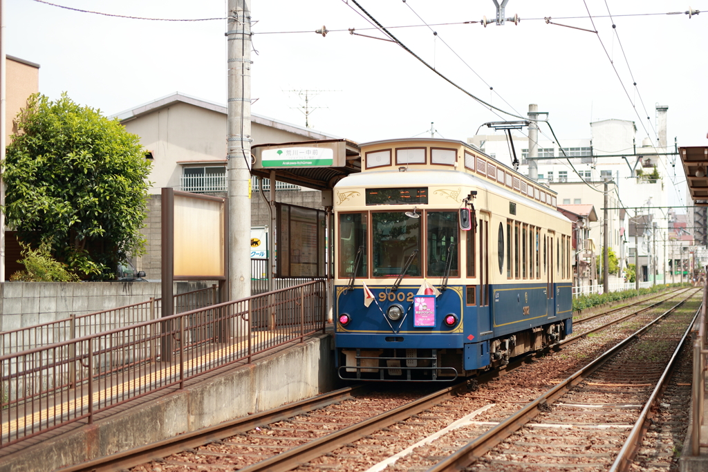 東京さくらトラム
