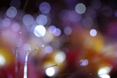 イルミネーション