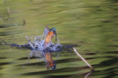 水がらみ