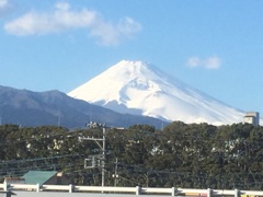 富士山