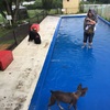 ロキシィ