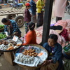 ニャンウーマーケット 4