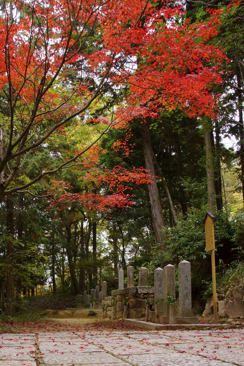 奇兵隊も紅葉を楽しんでいるのだろうか…