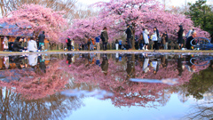 雨上がりの代々木公園