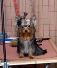 2013_2_1anweb750a1