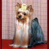 20131206web700ok11