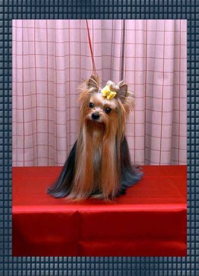 10406766_569620789826009_341101922750153