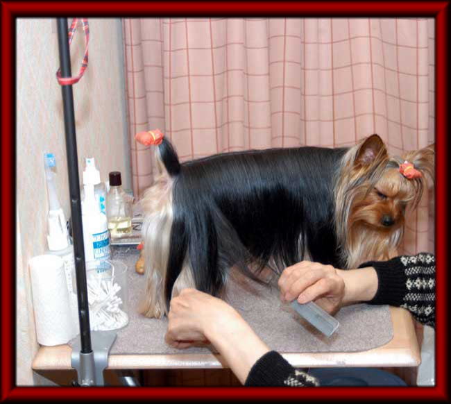 2010_4_12web_ta1111111