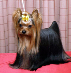 僕の名前　TA君（男の子）