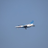 芦屋基地航空祭2016　ブルーインパルス　19
