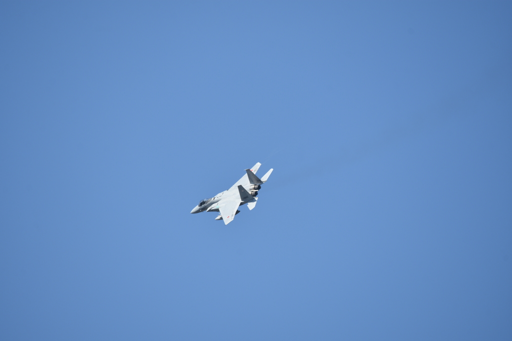 築城基地航空祭2015　Ｆ－１５