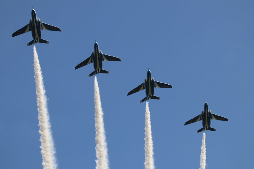 芦屋基地航空祭2016　ブルーインパルス　13