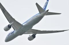 ＡＮＡ