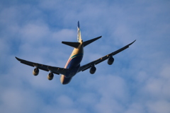 ＮＣＡ　日本貨物航空　ＫＺ８４２　ボーイング７４７－８Ｆ　6