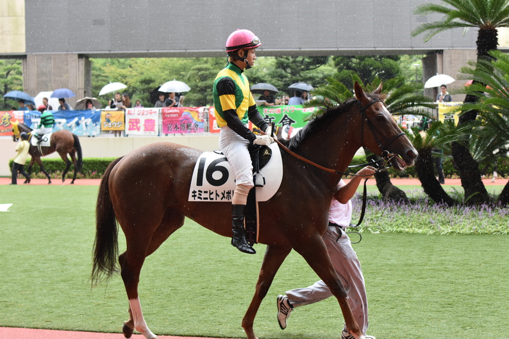 小倉競馬場パドック