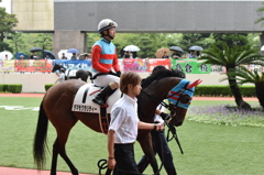 小倉競馬場パドック