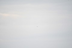 20171126築城基地航空祭 Ｆ－１５Ｊ起動飛行