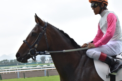 小倉競馬場