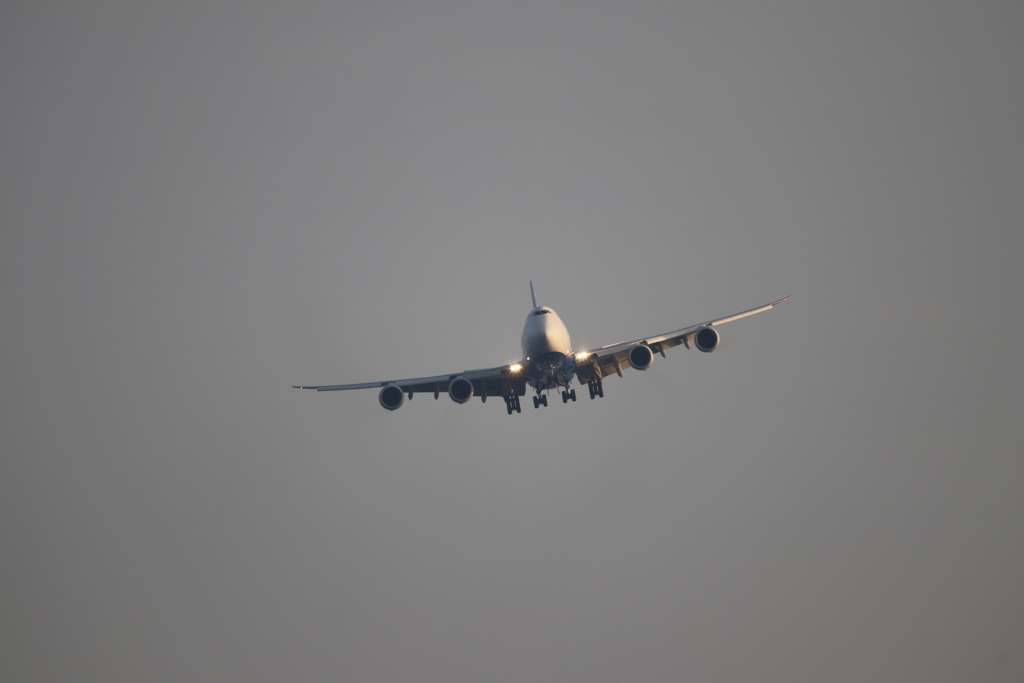 ＮＣＡ　日本貨物航空　ＫＺ８４２　ボーイング７４７－８Ｆ　9