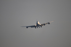 ＮＣＡ　日本貨物航空　ＫＺ８４２　ボーイング７４７－８Ｆ　9