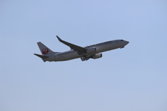 ＪＡＬ　ボーイング737-800
