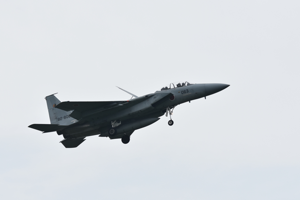 Ｆ－１５ＤＪ