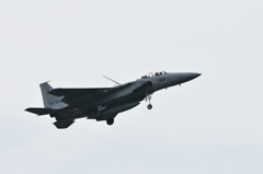 Ｆ－１５ＤＪ