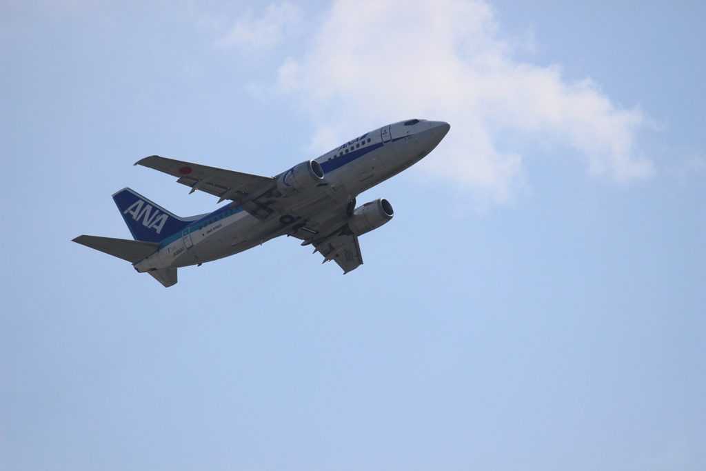 ＡＮＡ　737