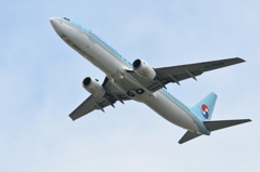 大韓航空