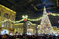 クリスマス in TDL(2014) ①