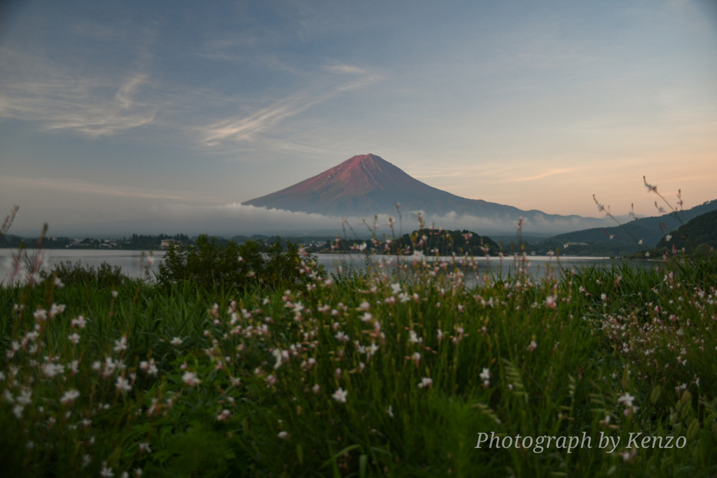 河口湖～大石公園～