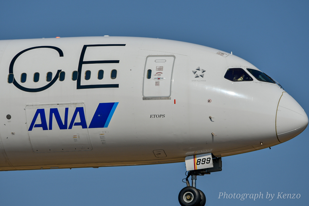 成田空港 さくらの山