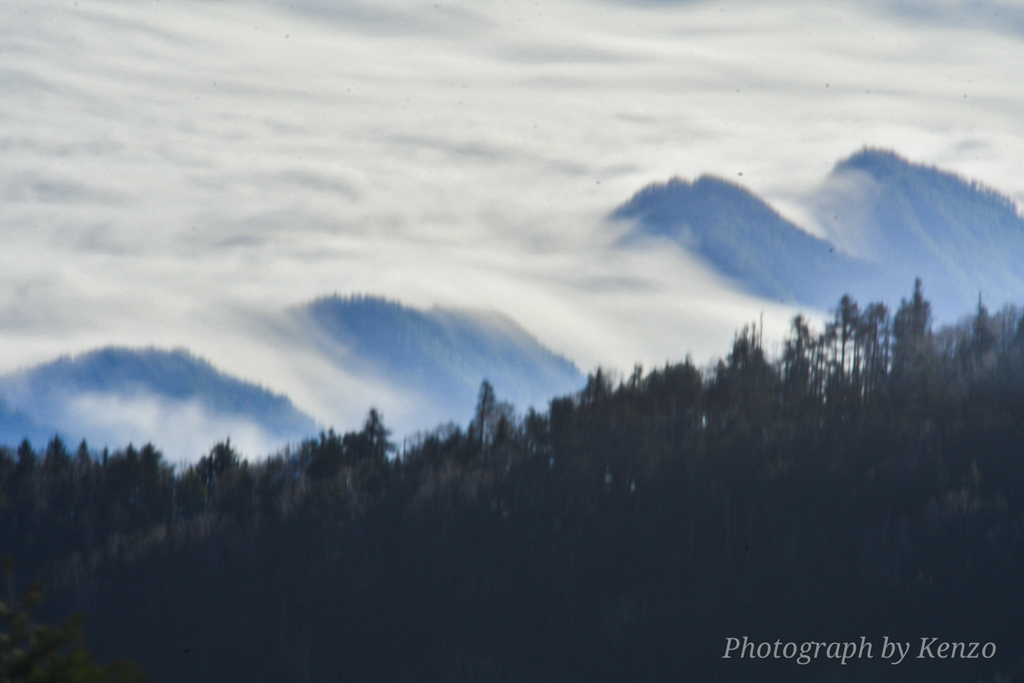 王ヶ頭から見た雲海