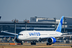 成田空港 さくらの山