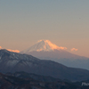 美しの森からの富士山