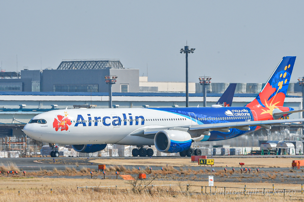 成田空港 さくらの山