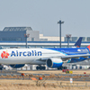 成田空港 さくらの山