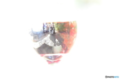 マンズワイン 収穫祭2015