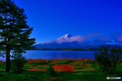 河口湖からの富士山